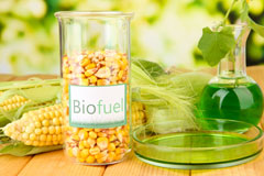 Skelton biofuel availability