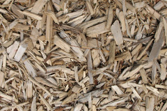 biomass boilers Skelton