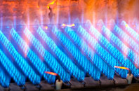 Skelton gas fired boilers